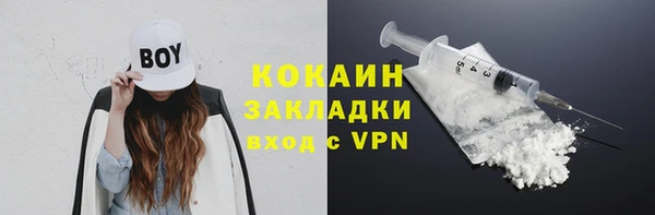 винт Осташков
