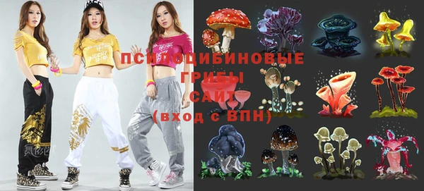 гидропоника Белоозёрский